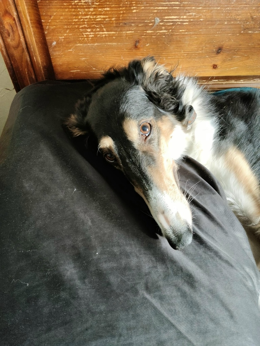 Ну что ты пристала?! вопрошает Красотка