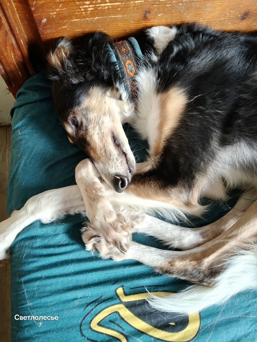 Когда злая я отняла подушку