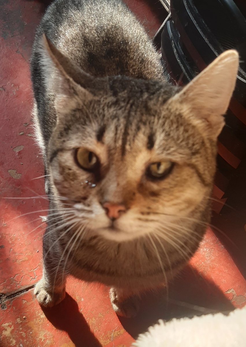 И да! Я косоглазый!))