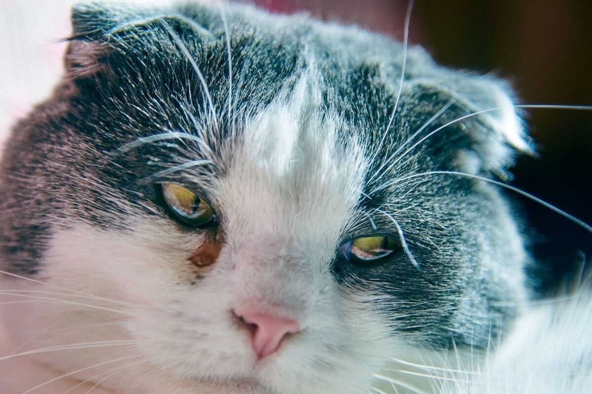 Фото с сайта: https://dzen.ru/a/Z08PZiFGpjgwtP8z