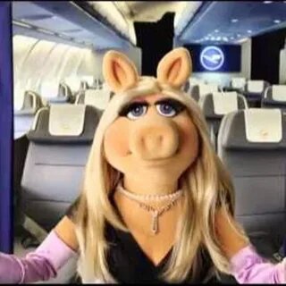 Из открытых источников Тырнета.