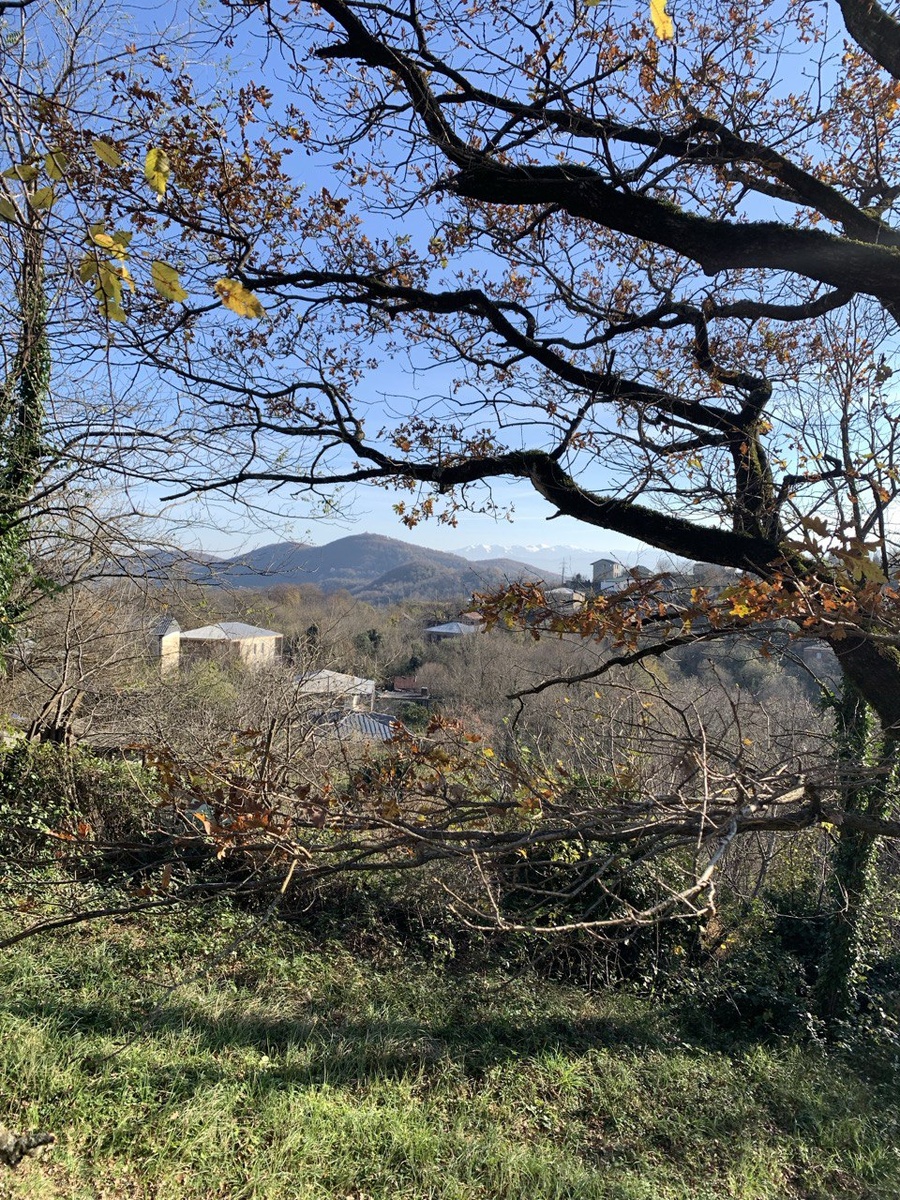 Потрясающий вид со двора