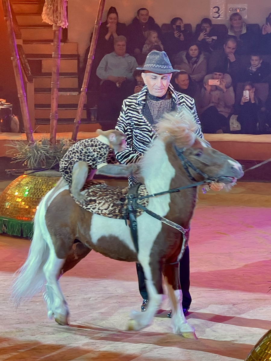 Тигран Акопян со своими питомцами