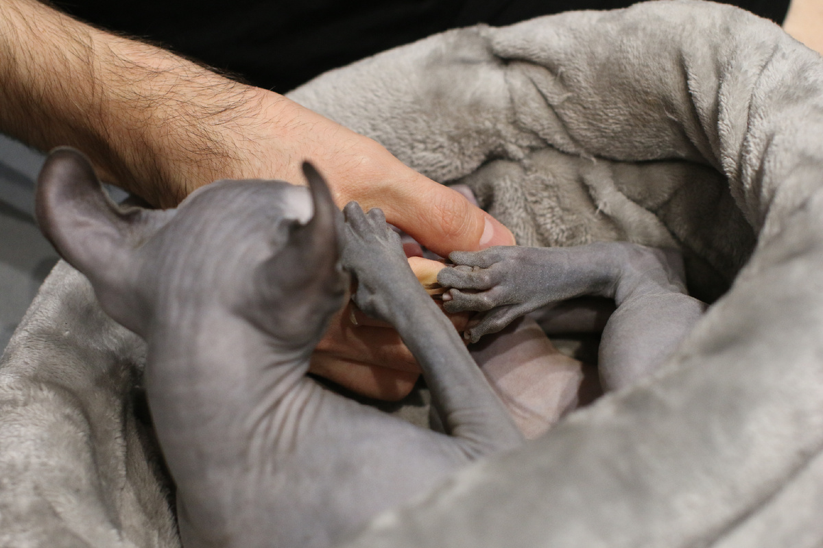 У Эль очень длинные и цепкие пальчики, которые иногда она сжимает в кулачки 