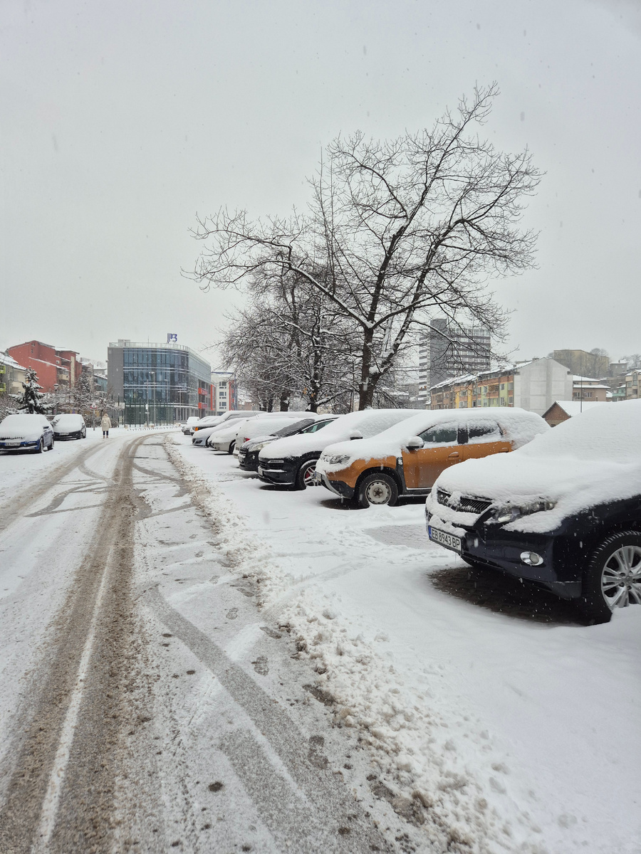 Вот такая к нам в понедельник зима пришла, с настоящим 5-градусным морозом.