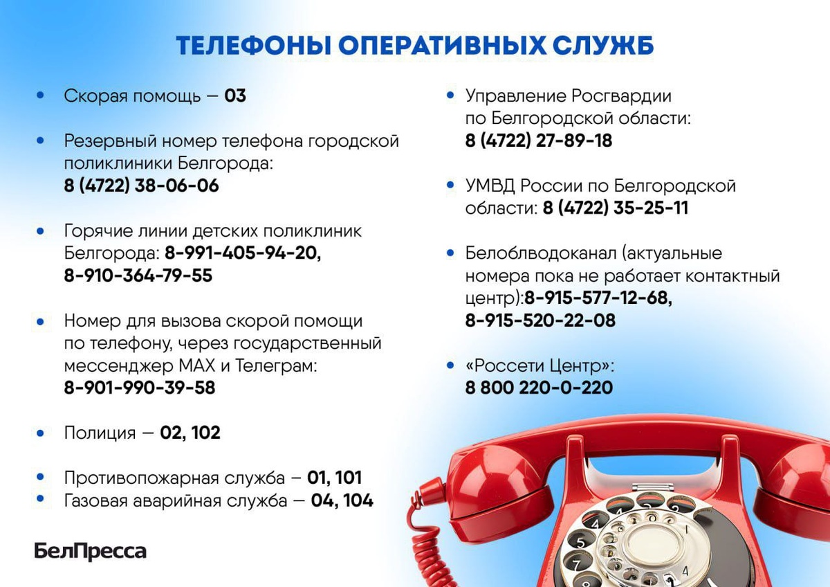    Фото: БелПресса