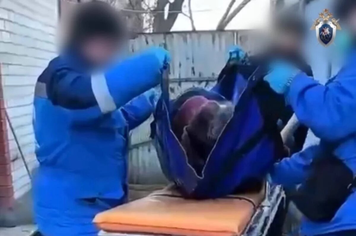    Бастрыкин ждет доклад о медиках, бросивших пациента на улице в Пятигорске