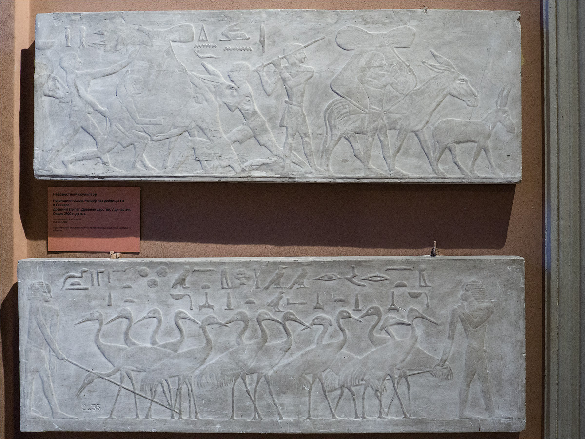 Погонщик ослов. Погонщики с птицами. Рельеф из гробницы Ти в Саккаре. 2900 г. до н.э.