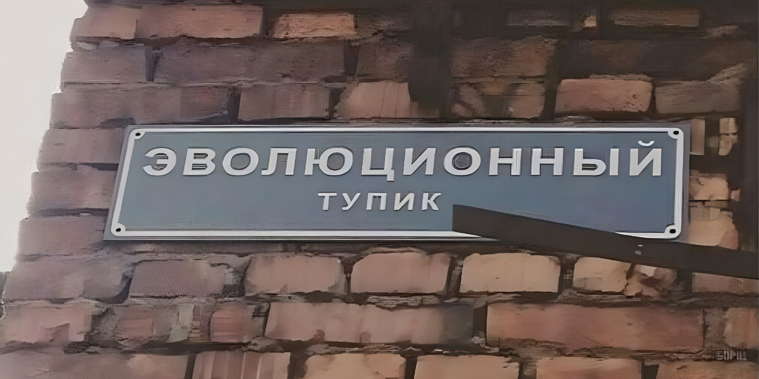 Тупиковый город. Боже, храни чиновников!