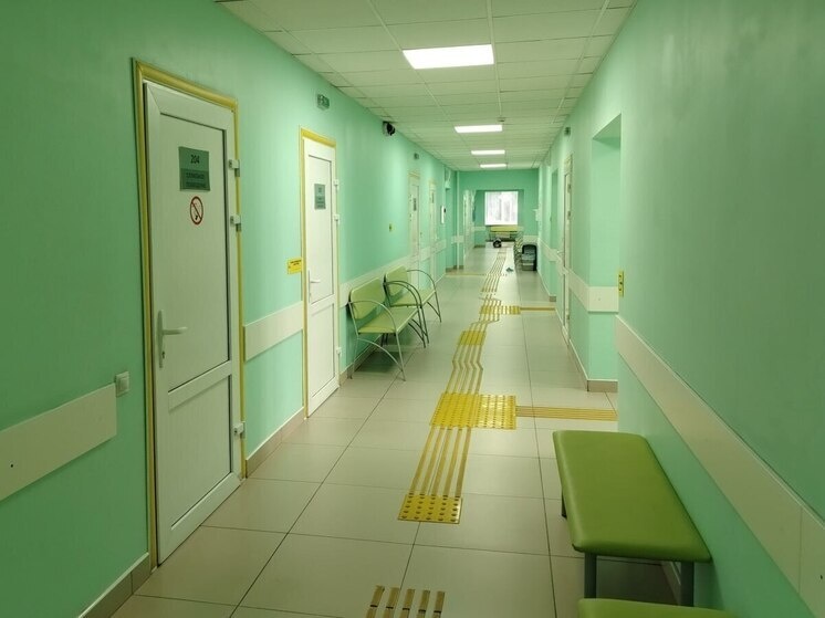     Любой врач сможет посмотреть историю пациента. Фото: архив МК в Питере