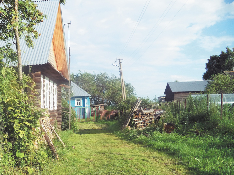    Перестроенный дом в деревне Тишиново (вдали, голубого цвета), где жила Мария Алексеевна с детьми.