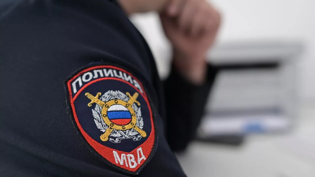 Фото: Александр Кряжев / РИА Новости