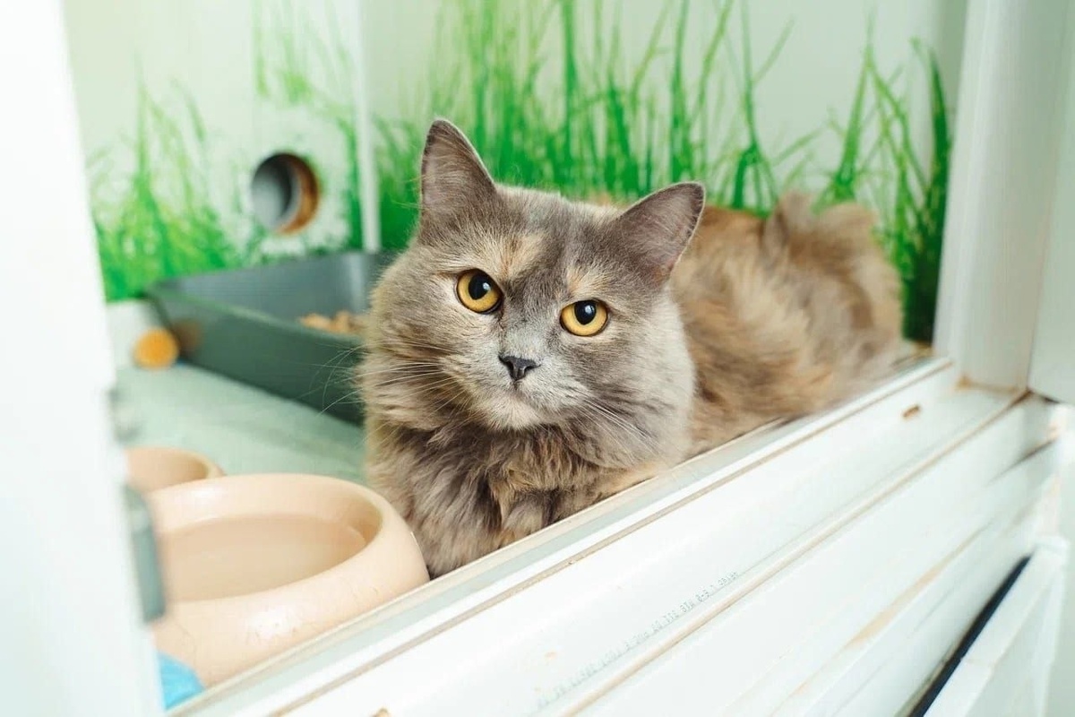 Она была не просто напугана до смерти — она была тяжело больна.