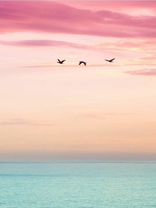 Спокойная гладь воды на рассвете. Картина может быть вополнена на заказ.