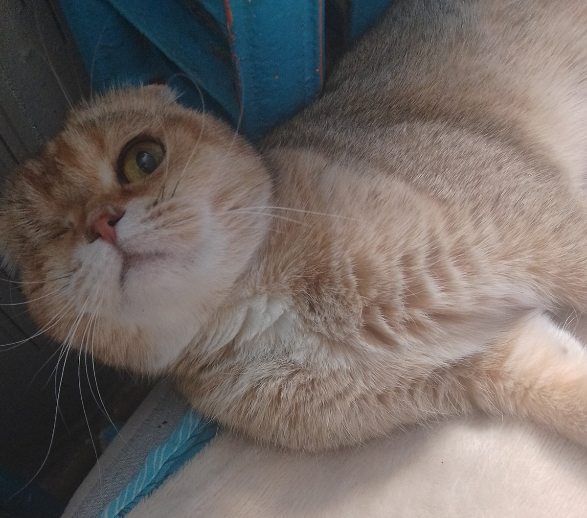 Наташ, ты с ума сошла? Ты выбирай темы для разговоров в транспорте, а то я так сиротой останусь