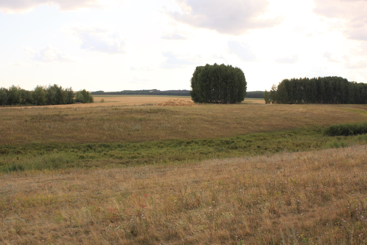 Лесостепной пейзаж. Author Сергей Метик. Attribution 3.0 Unported