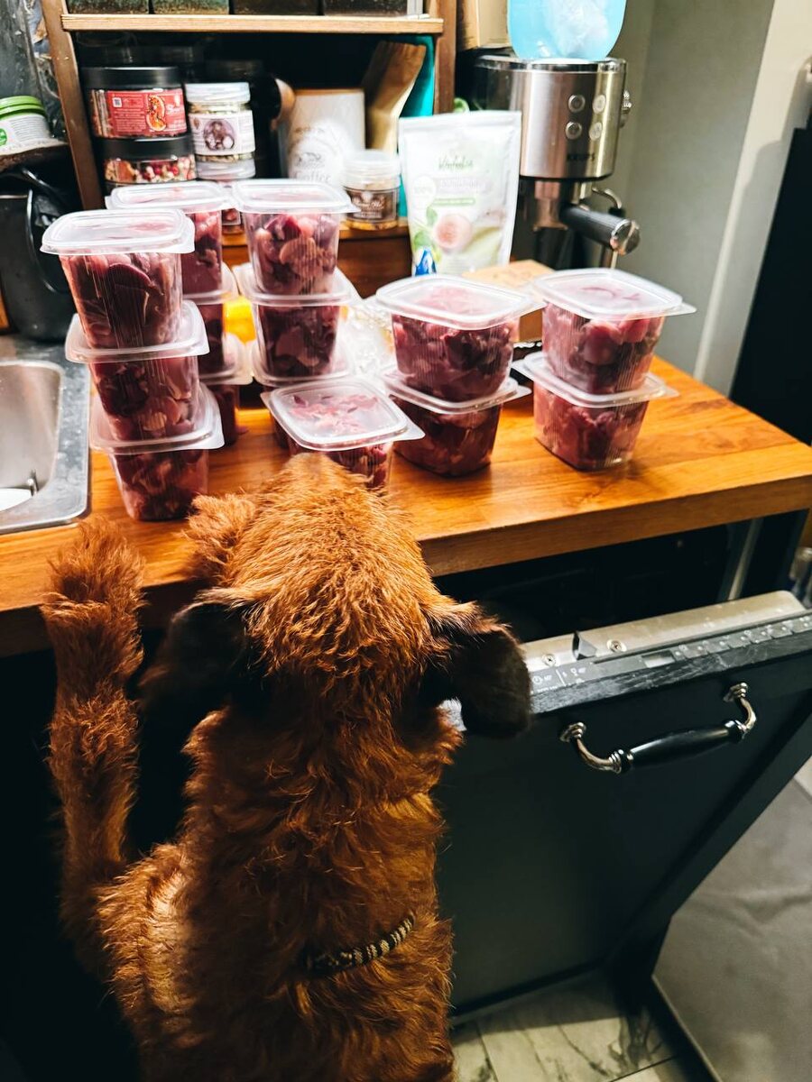 О! Мне еду приготовили!