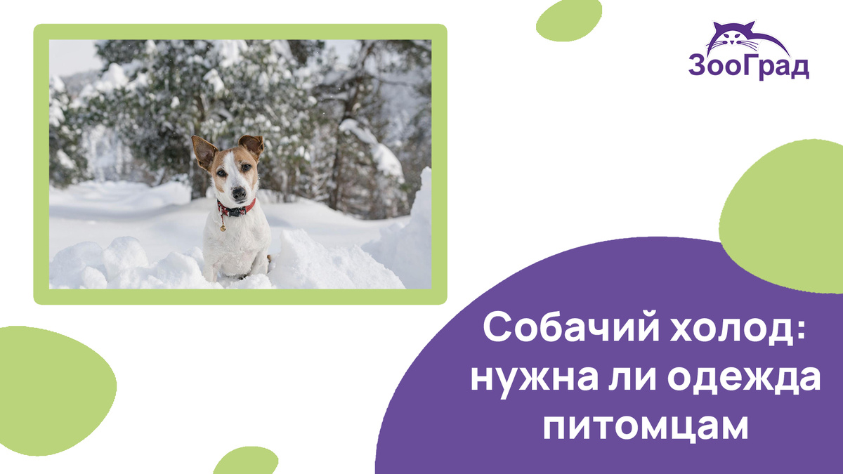 У них же шерсть?