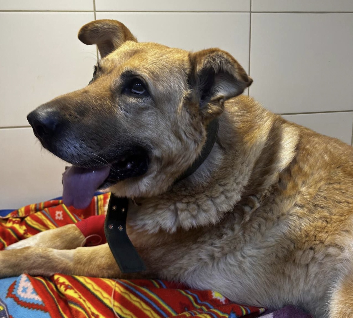 Разве можно допустить, чтобы эти глаза закрылись навсегда?