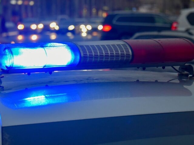    Фото: Москва 24/Антон Великжанин