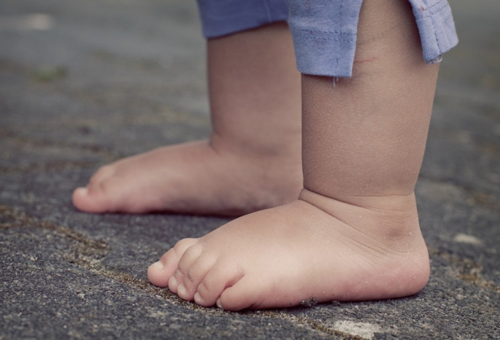 фото: pxhere.com