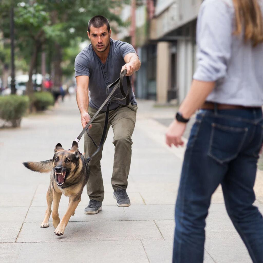 Сокойствие, только спокойствие!