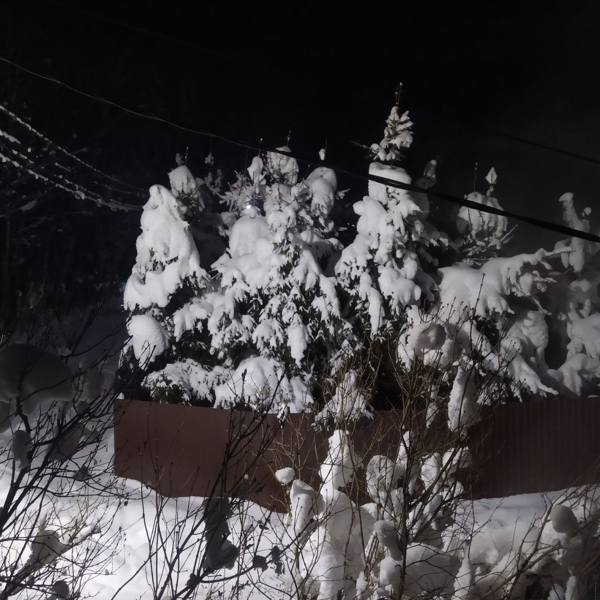 Так нас встретила дача вечером. 