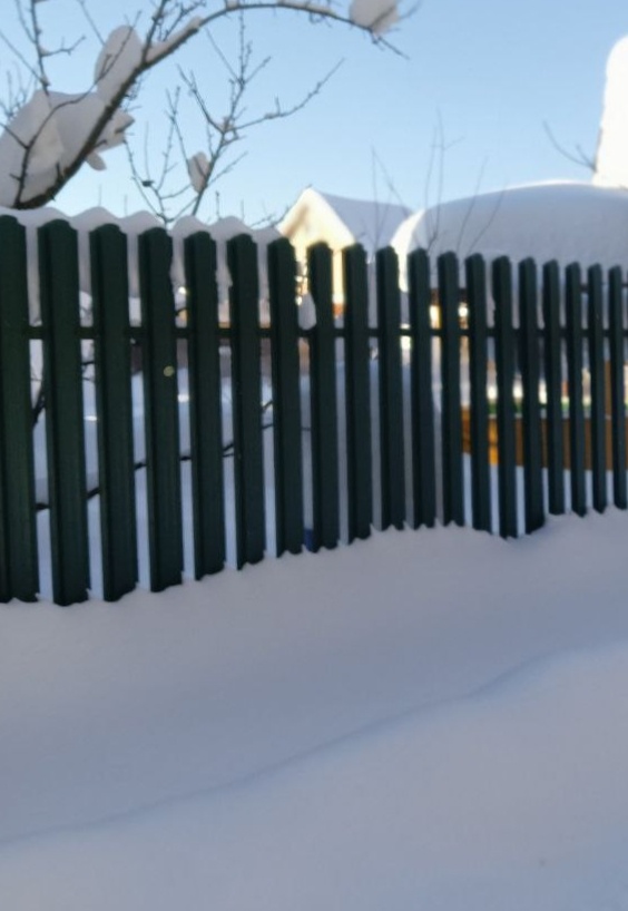 Фото автора.