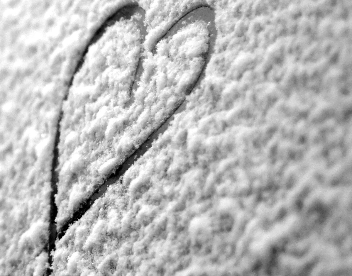 Фото: Bruno Kelzer с сайта unsplash.com