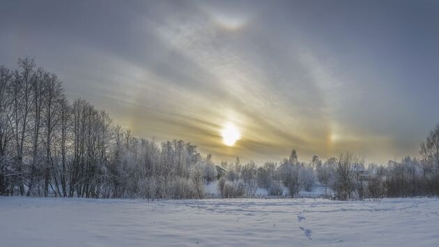 Стужа на Русской равнине в ближайшее время усилится