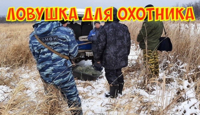 Разгул браконьерства: халатность или закономерность?