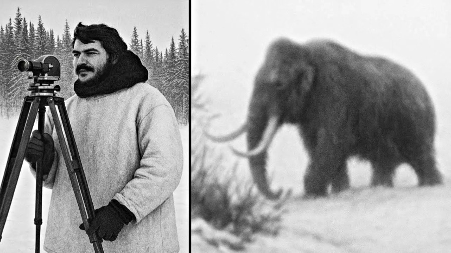 Яндекс картинки