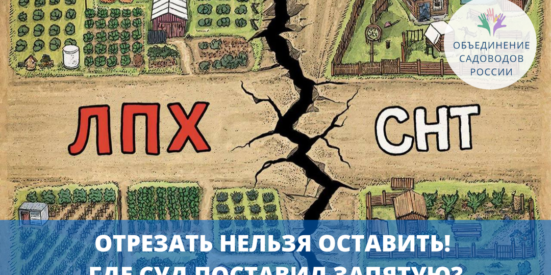 Судебный спор об исключении земельных участков из территории СНТ