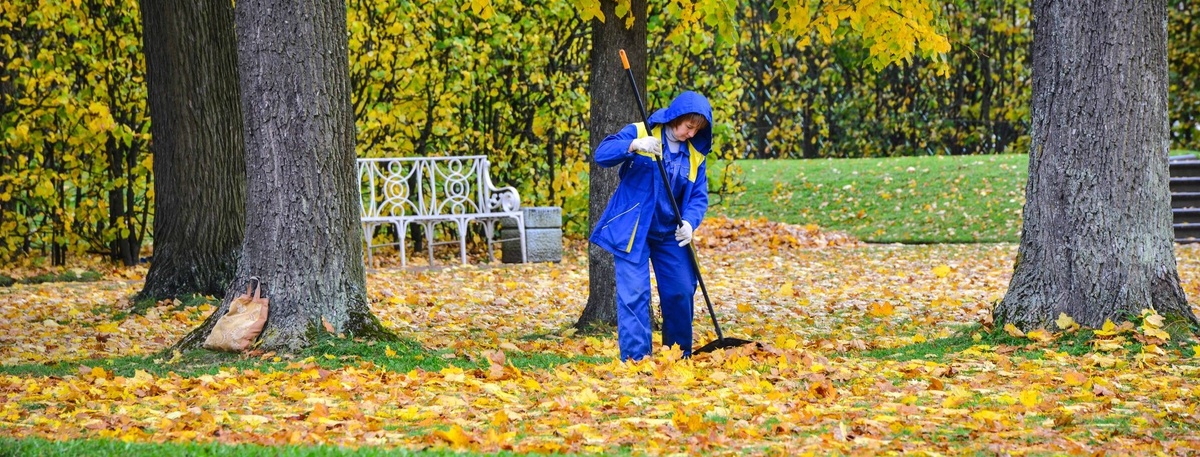    Автор фото: Михаил Тихонов/"ДП"