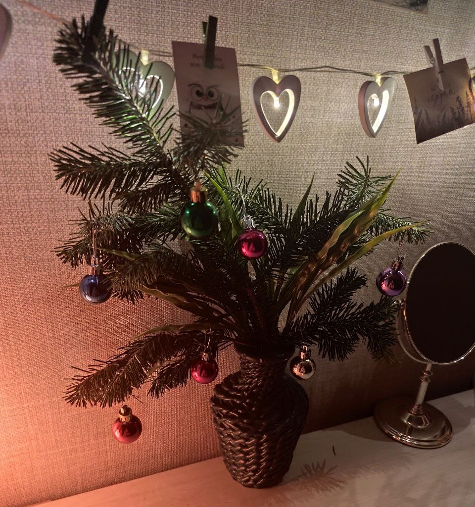    Фото: Амур.инфо