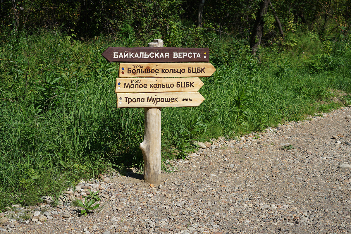 Фото: Лера Крышкина