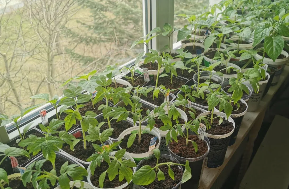 Источник фото: youtube.com