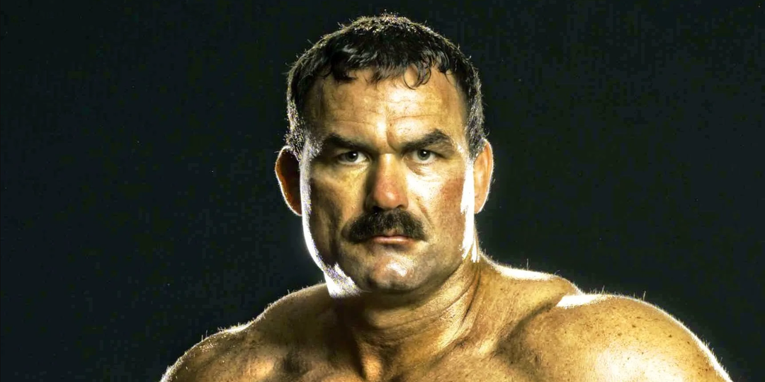 Дон Фрай - абсолютный тестостерон в клетке ММА: история "Хищника"