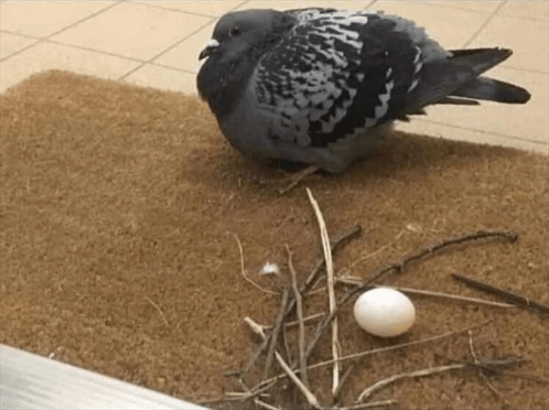 Картинка из интернета. Сделал, как смог)) 