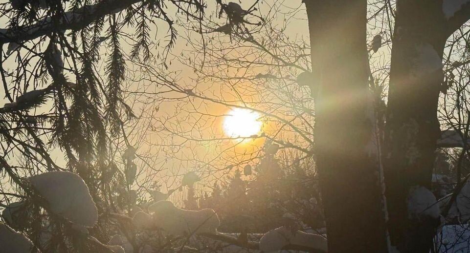    REGIONS/Анастасия Малышенко