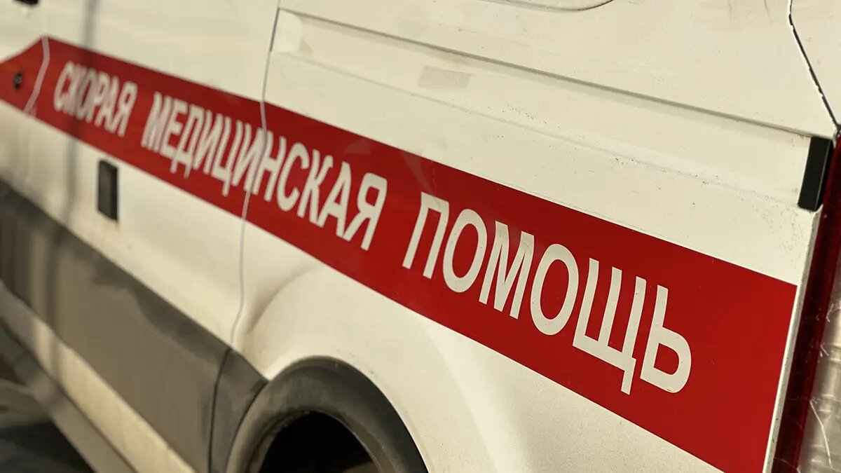    Фото: vm.ru Олеся Шмелева