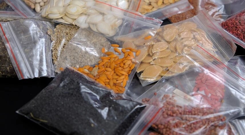 Подготовка семян к посеву: пошаговая инструкция и лучшие методы