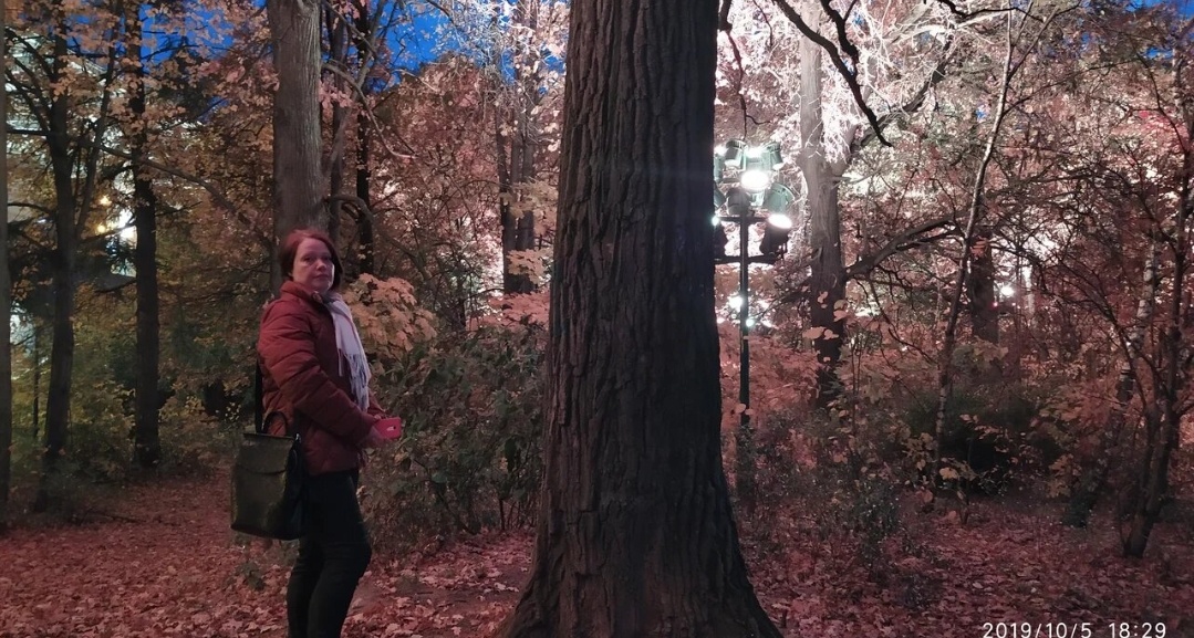 Воробьевы горы. Фото автора