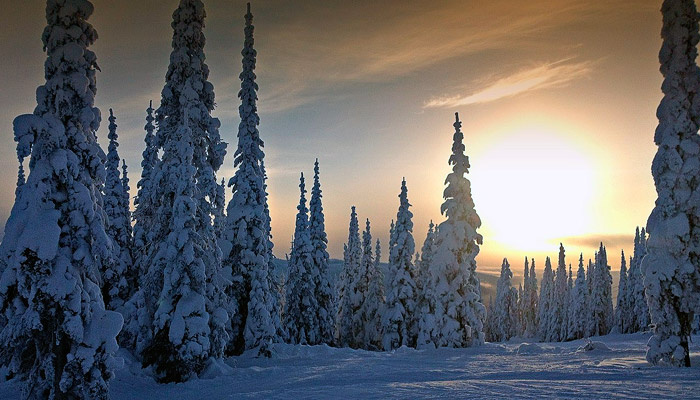 4 фераля отмечается Тимофеев день, или Тифей Полузимник. В эту пору часто приходят морозы,их называют "тимофеевскими". Фото: wikimedia.org