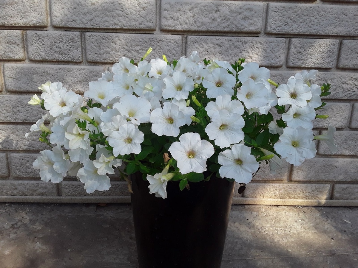 Конец первого сезона и надежда на новый