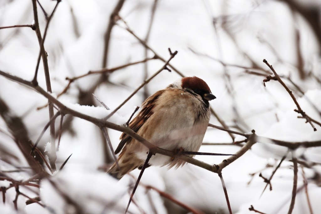    Фото © Владимир Андреев / Абзац