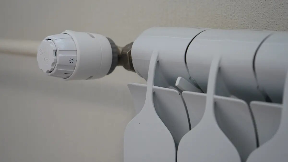    Фото: vm.ru Кира Попова