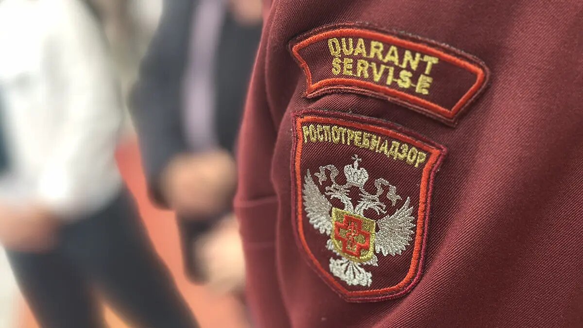    Фото: vm.ru Ева Усова