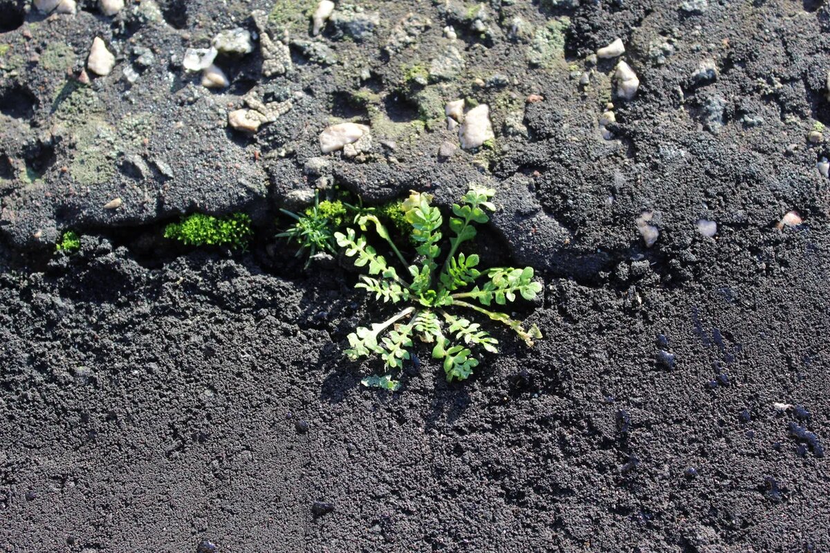    Источник изображения: ItRussia.Media