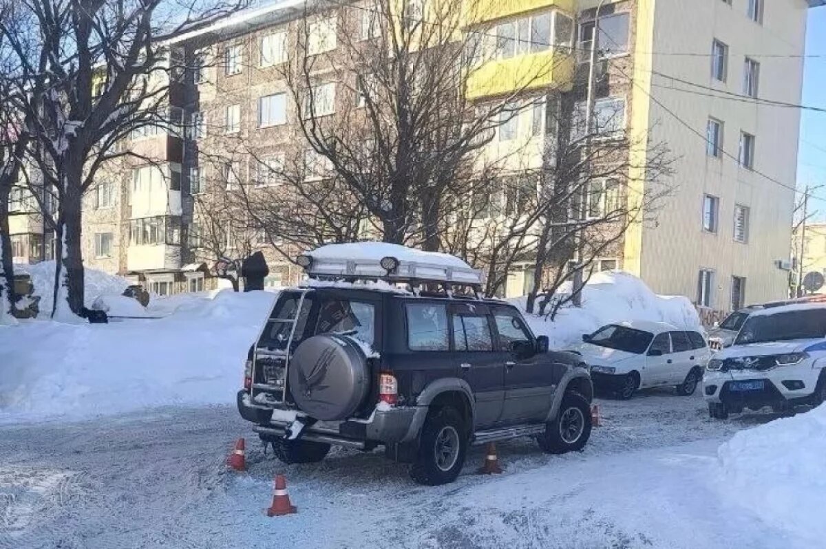    Сама упала: новые подробности о сбитой 5-летней девочке на Камчатке